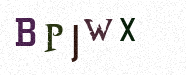 Visual Confirmation Security Code